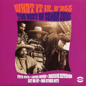 What it is y'all : the best of Senor Soul